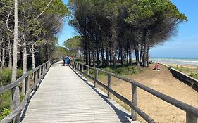 Cozy Villa 250 Metres From The Beach - Beahost -